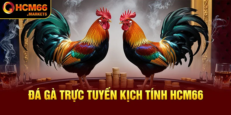 Đá Gà Cựa Dao HCM66 - Đấu Trường Gà Đẳng Cấp 2024!