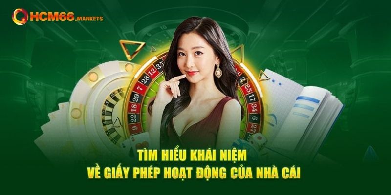 Giới thiệu cơ bản về giấy phép hoạt động HCM66 
