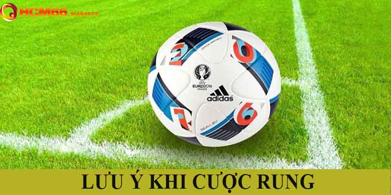 Lưu ý quan trong khi tham gia cá độ rung