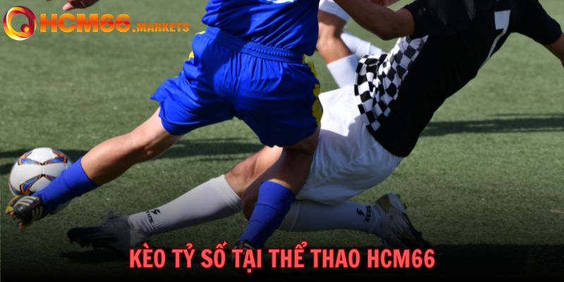 Cược tỷ số bóng đá rất được ưa chuộng tại Thể Thao HCM66